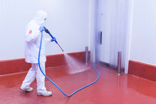Best Post-Construction Pressure Washing  in Royalton, IL